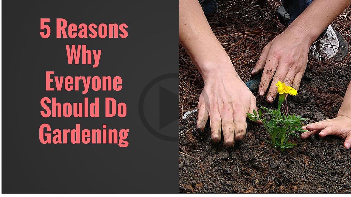 'Video thumbnail for Benefits of gardening: Are you missing these?'