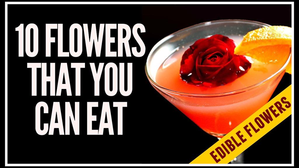 'Video thumbnail for Edible Flowers: 10 Flowers That You Can Eat'