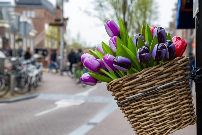 Can You Plant Tulips In A Hanging Basket? (+How To)