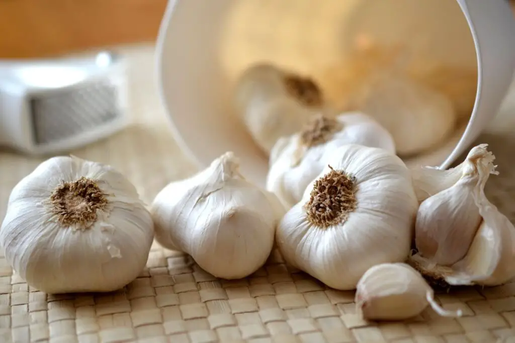 Garlic in airtight container