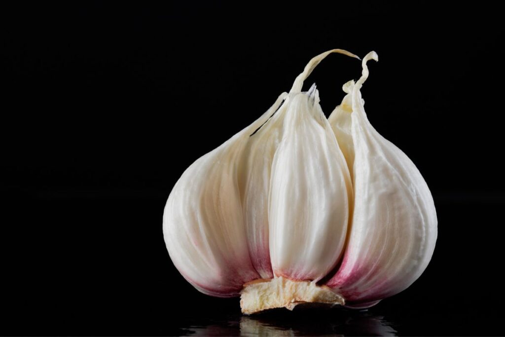 Garlic plant split