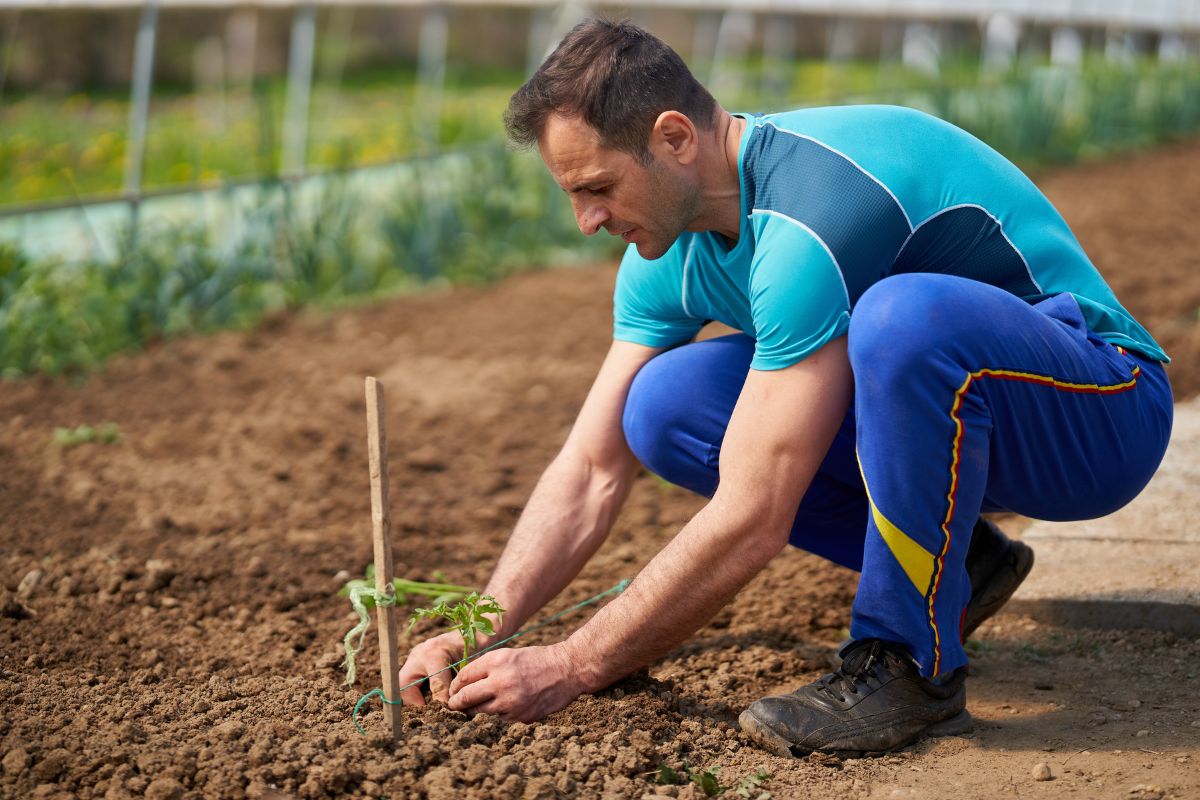 What To Plant With Garlic? (+What Not To Plant)