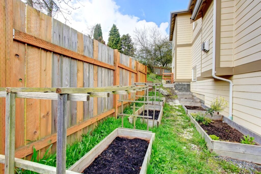 trellis in garden bed 4