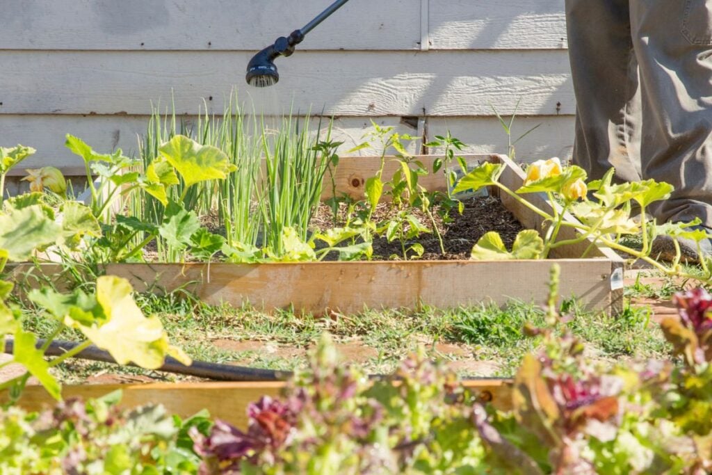 Raised bed watering