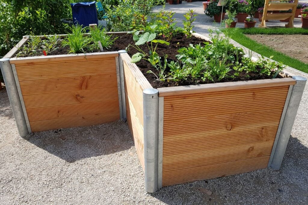 raised bed