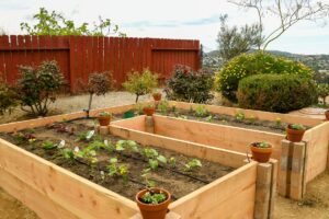 How Far Apart To Plant Cucumbers In A Raised Bed? (+10 Mistakes To Avoid)