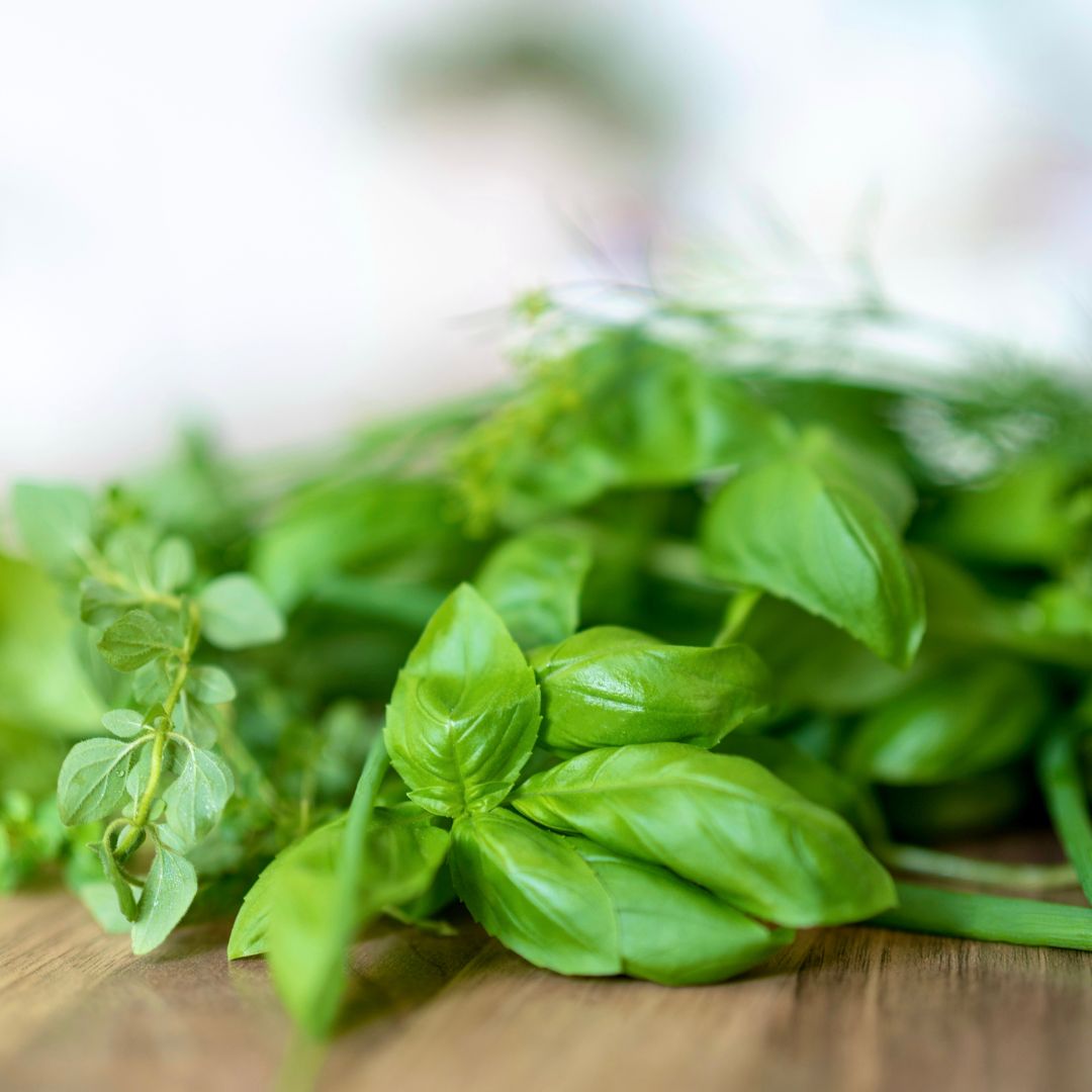 How To Prune Basil Plant For Fresh, Lush Growth