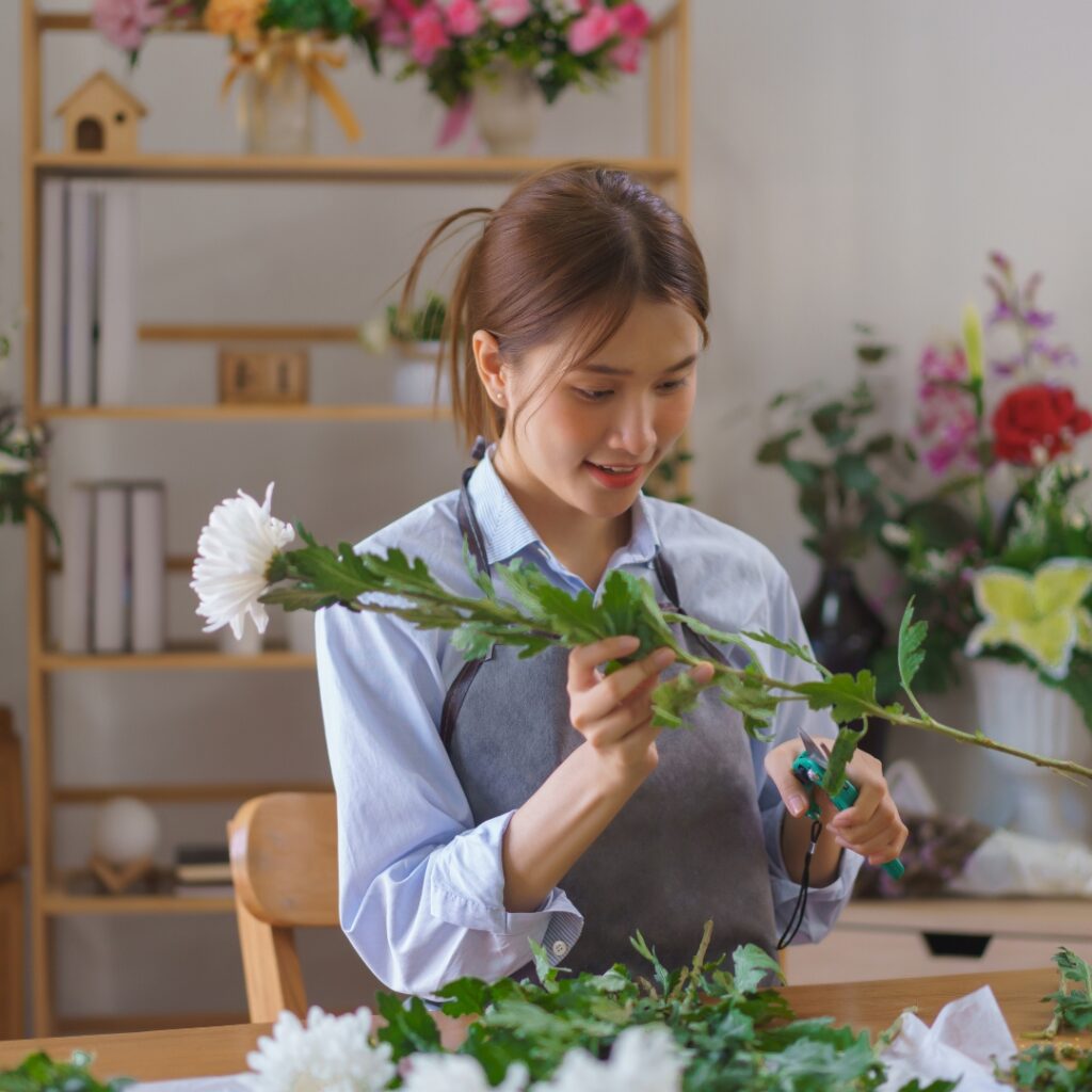 Chrysanthemum pruning