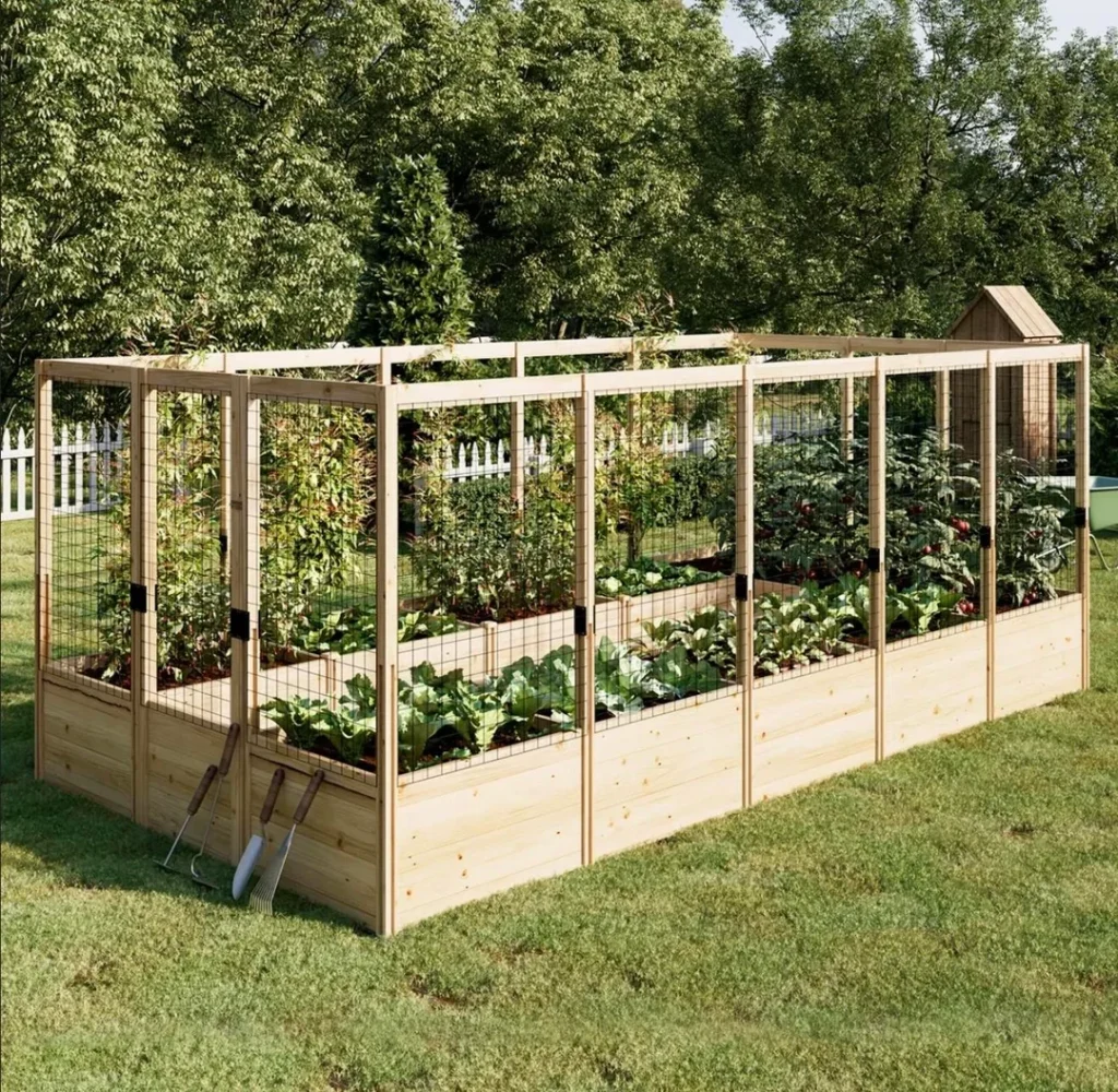 Roses On Raised Garden Bed