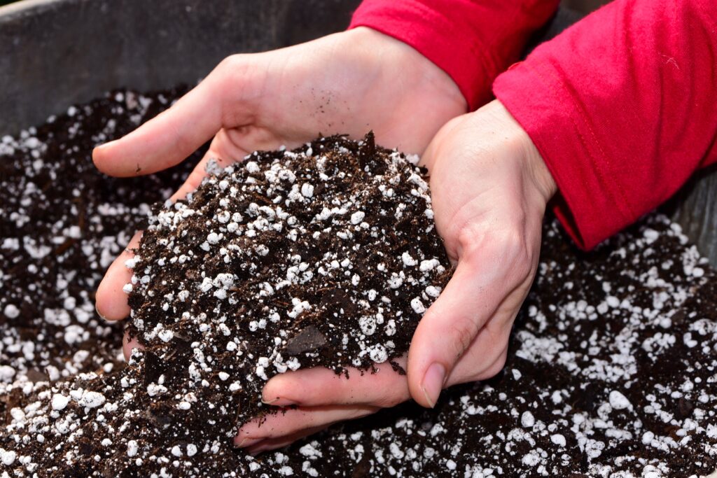 Soil Mix for Roses