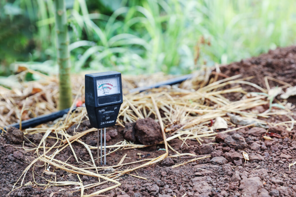 soil testing using a meter in garden 2026 01 09 11 55 41 utc