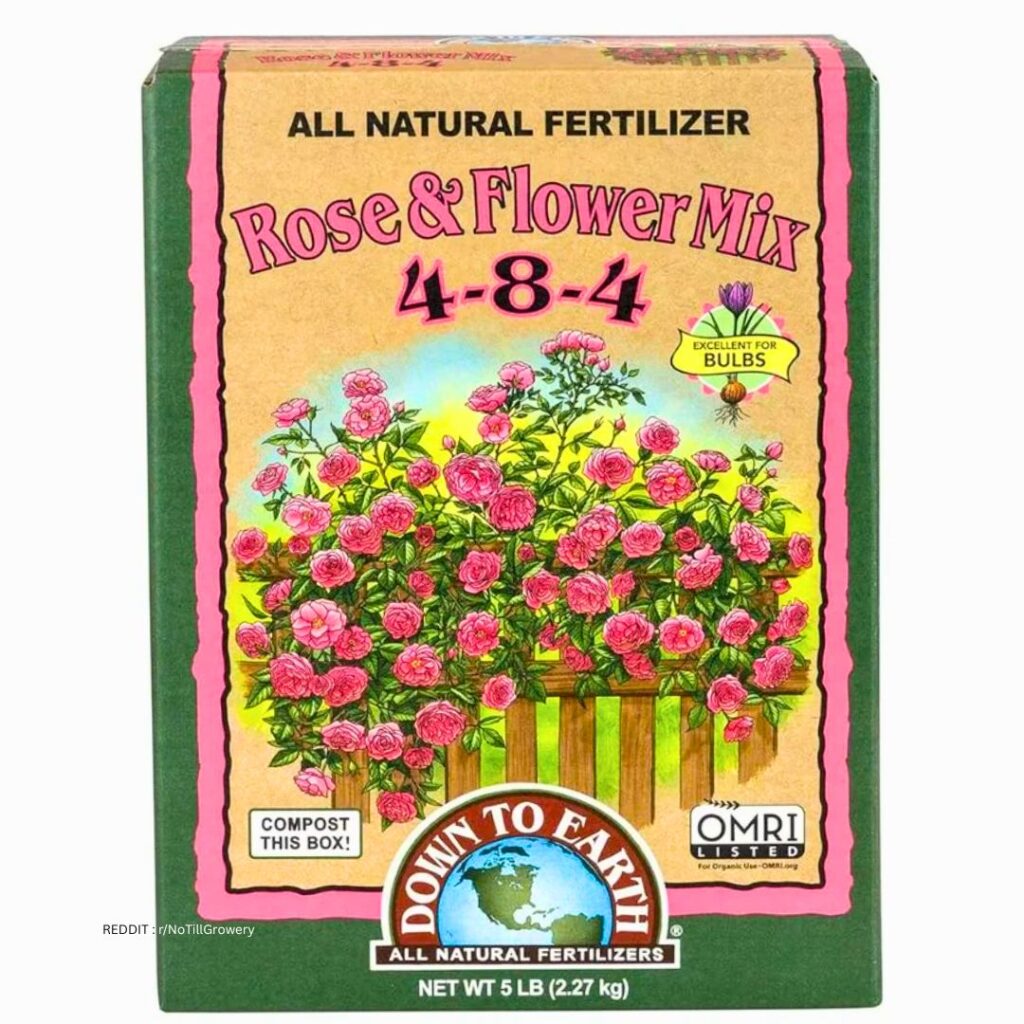 Fertilizer for Aster 1