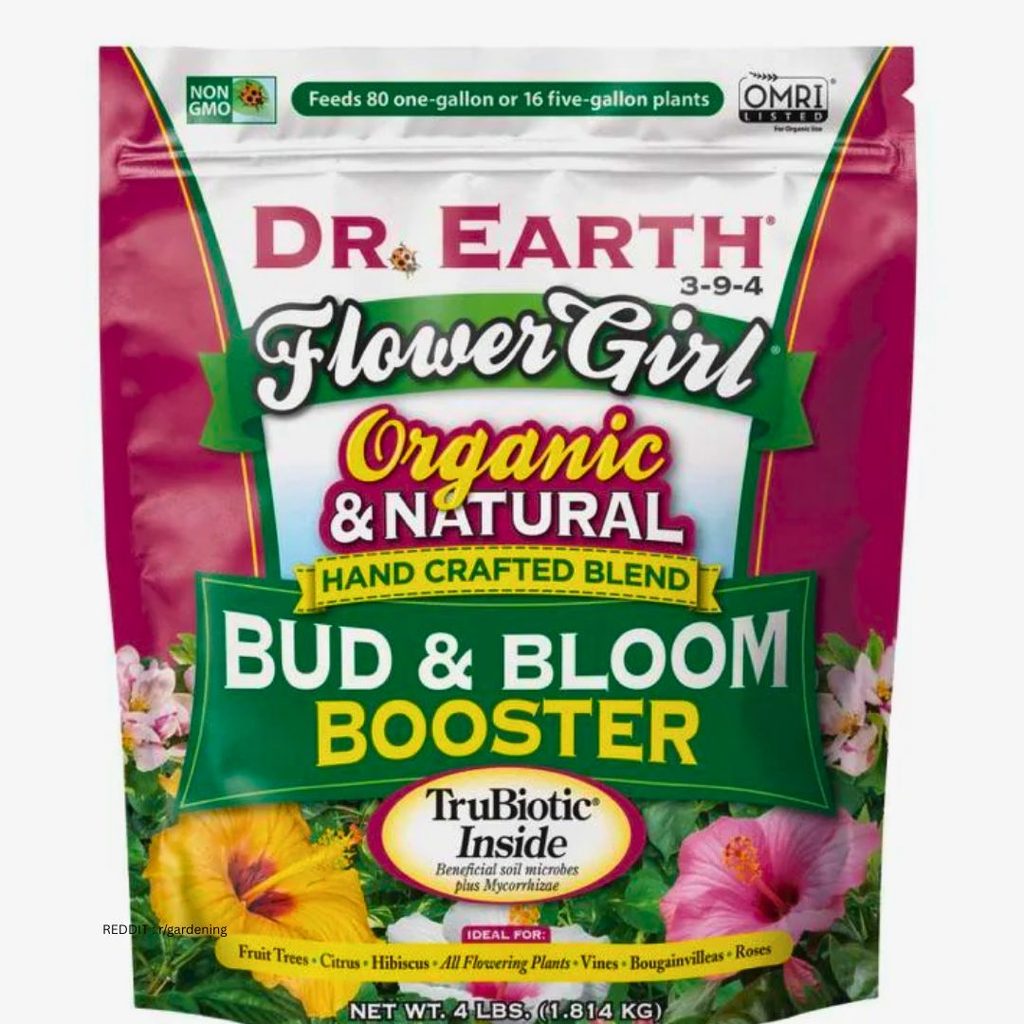 Fertilizing Aster 1